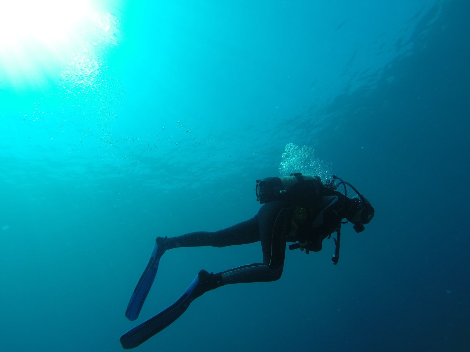 Diver exploring underwater in crystal clear water